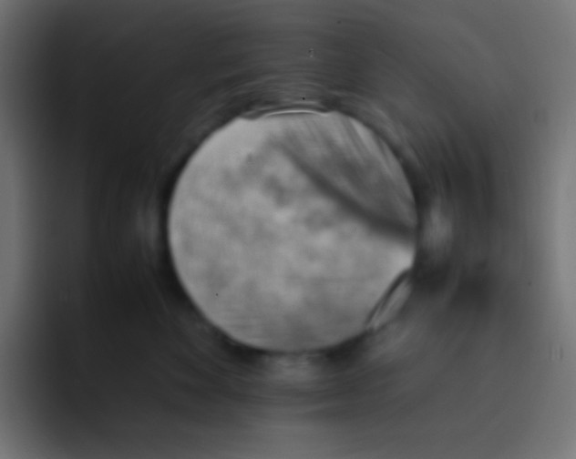 X0000092070524200710031121