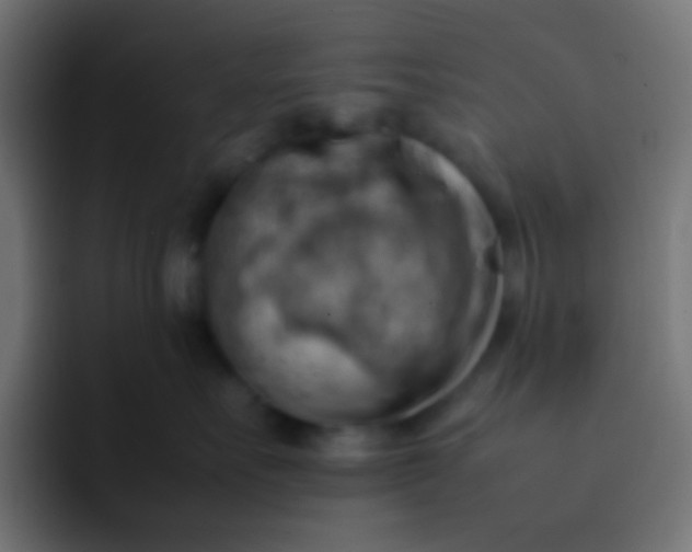 X0000092070527200710031121