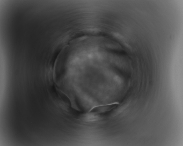 X0000092070528200710031121