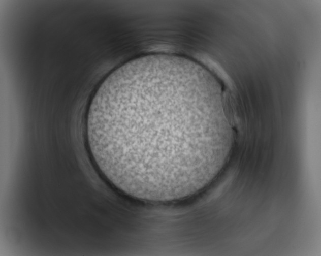 X0000092070529200710031120