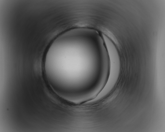 X0000092070530200710031120