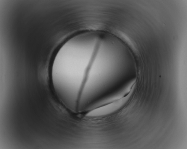 X0000092070532200710031120