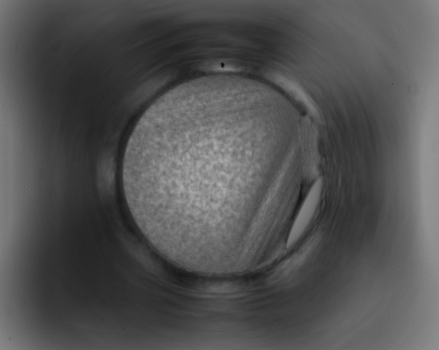X0000092070533200710031120