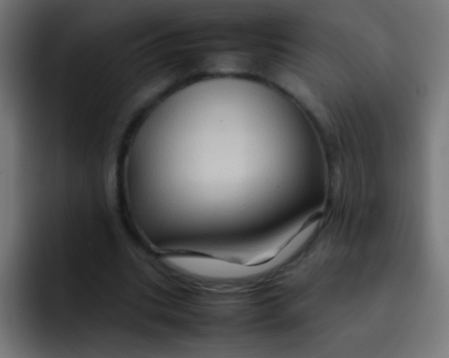 X0000092070535200710031120