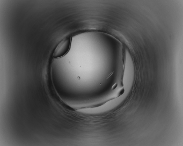 X0000092070536200710031120