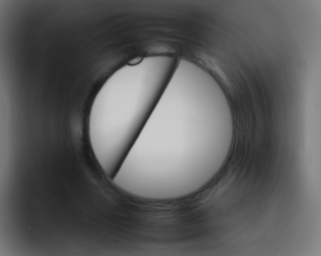 X0000092070539200710031120