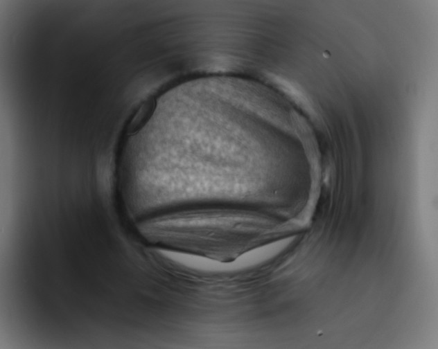 X0000092070540200710031120