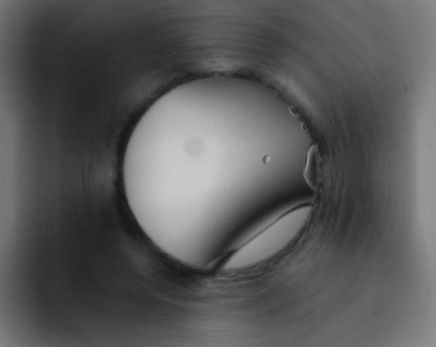 X0000092070544200710031120