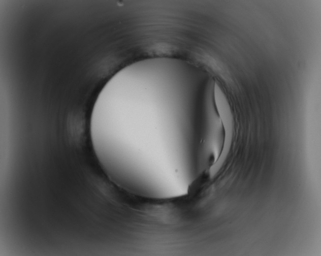 X0000092070548200710031120