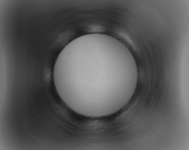X0000092070549200710031120