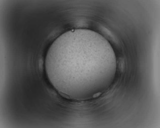 X0000092070550200710031120