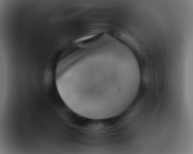 X0000092070551200710031120