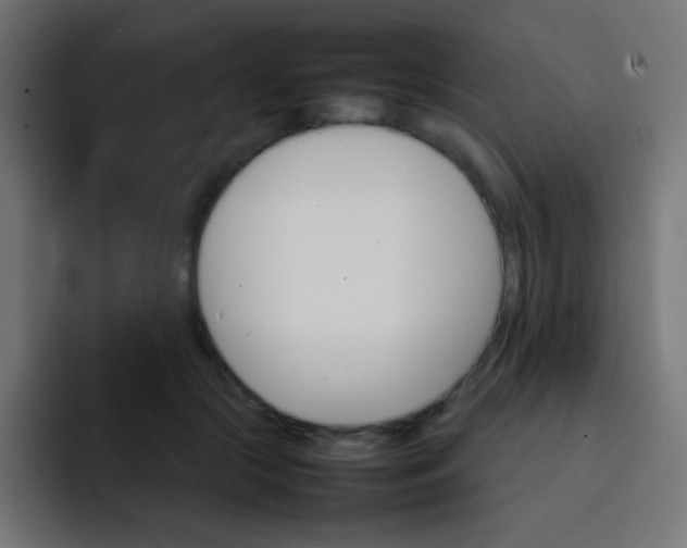 X0000092070553200710031120
