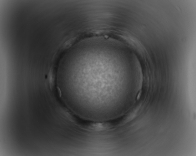 X0000092070558200710031120