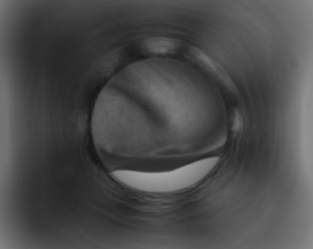 X0000092070559200710031120