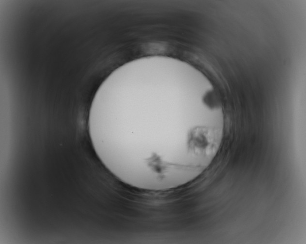 X0000092070561200710031120