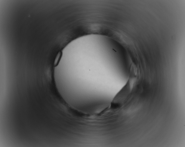 X0000092070562200710031120
