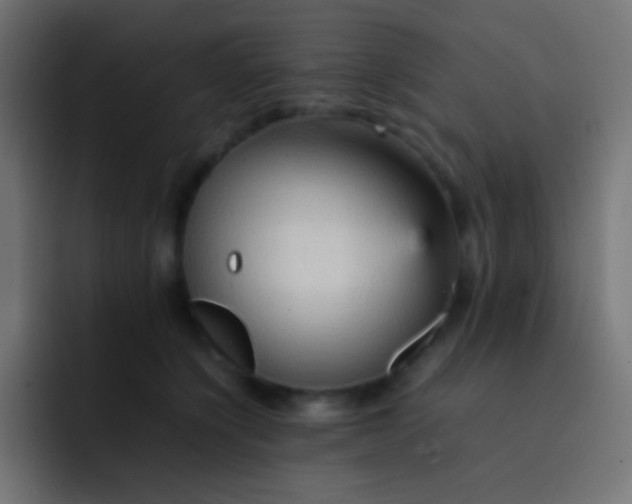 X0000092070564200710031120