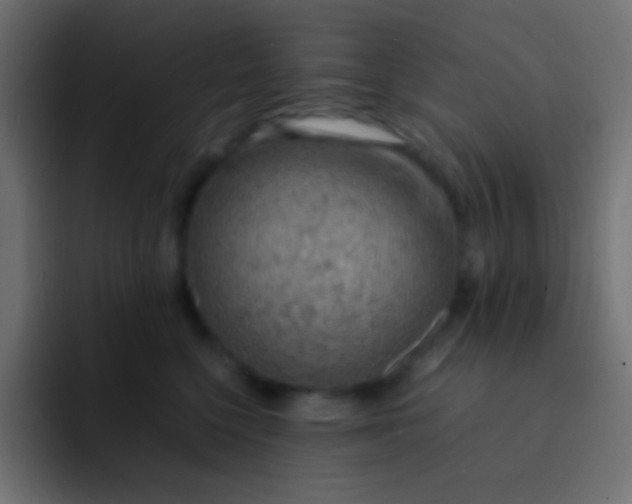 X0000092070568200710031120
