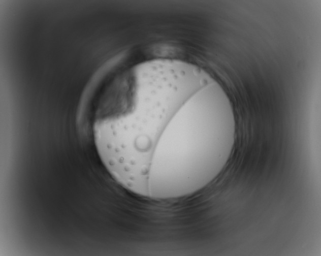 X0000092070569200710031120