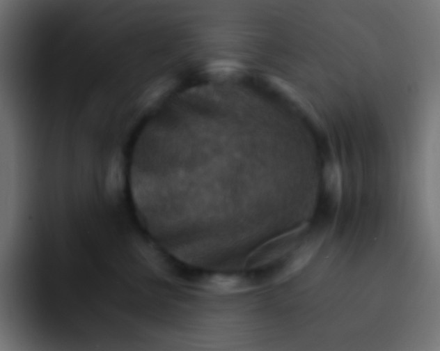 X0000092070570200710031120