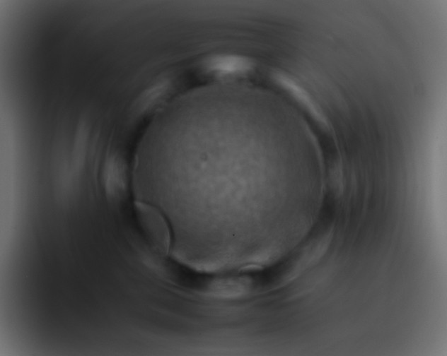 X0000092070571200710031120