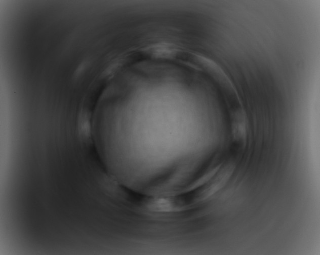 X0000092070573200710031120