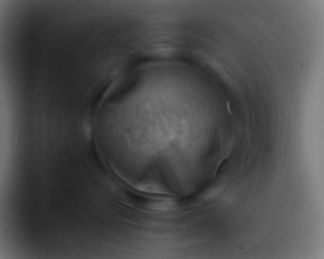 X0000092070576200710031121