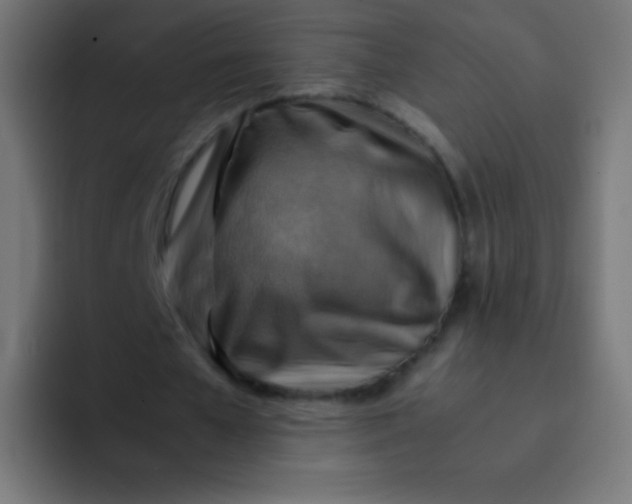 X0000092070577200710031120