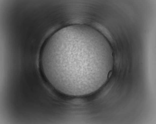 X0000092070578200710031120