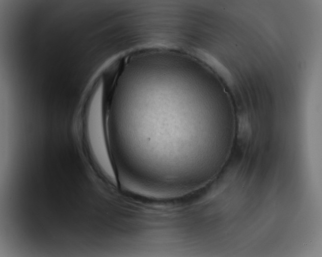 X0000092070580200710031120