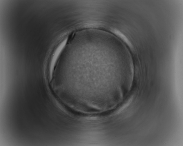 X0000092070581200710031120