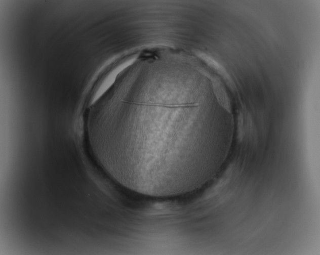 X0000092070584200710031120