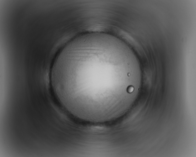 X0000092070586200710031120
