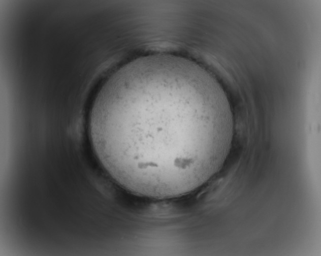 X0000092070591200710031120