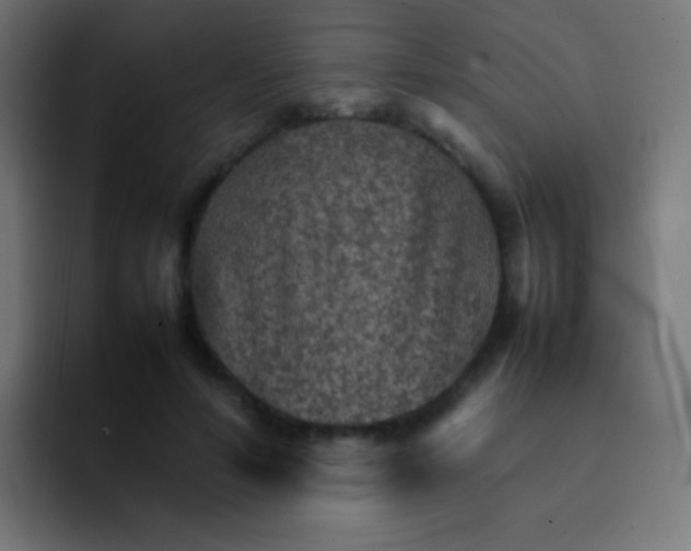 X0000092070594200710031120