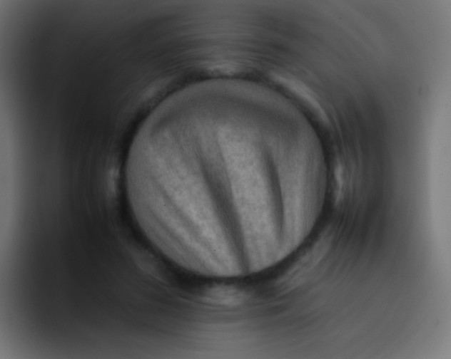 X0000092070596200710031120