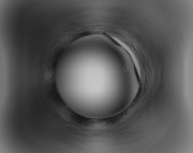 X0000092070601200710031120
