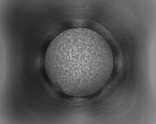 X0000092070602200710031120