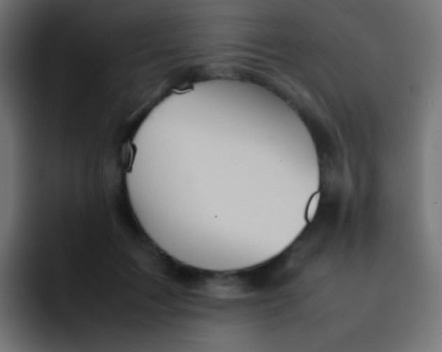 X0000092070603200710031120