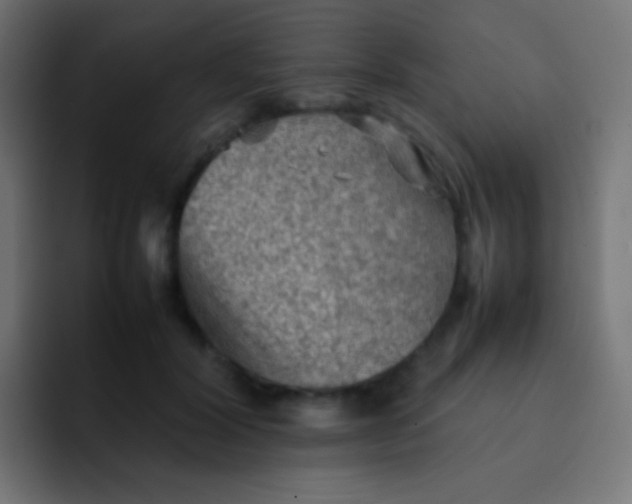 X0000092070604200710031120