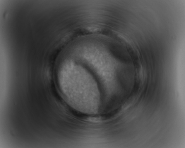 X0000092070606200710031120