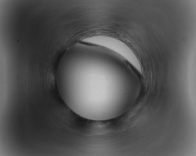 X0000092070613200710031120
