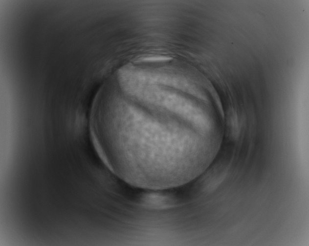 X0000092070614200710031120