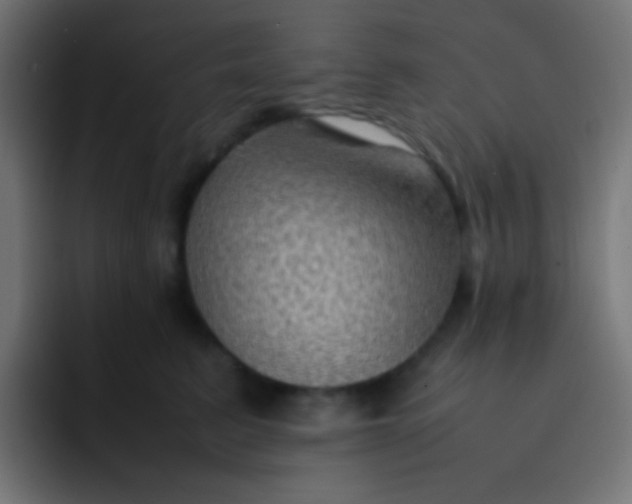 X0000092070615200710031120