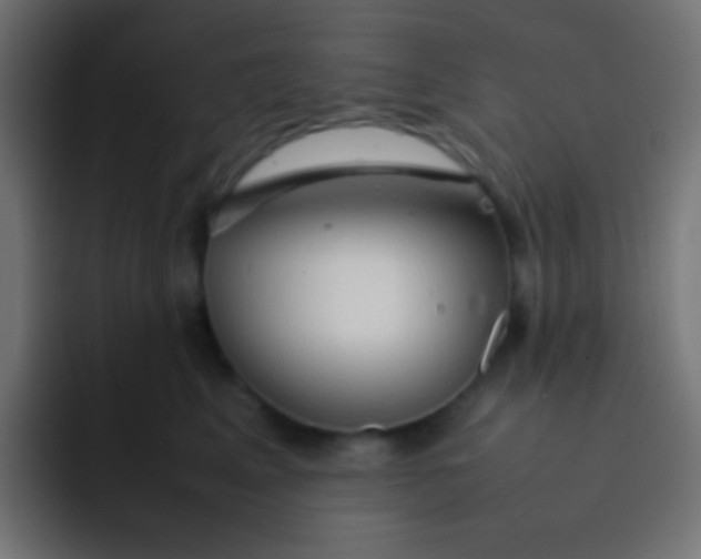 X0000092070617200710031119