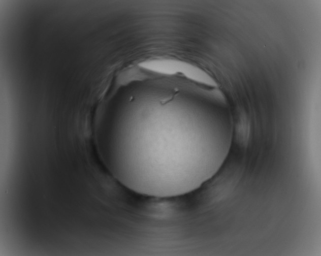 X0000092070620200710031119