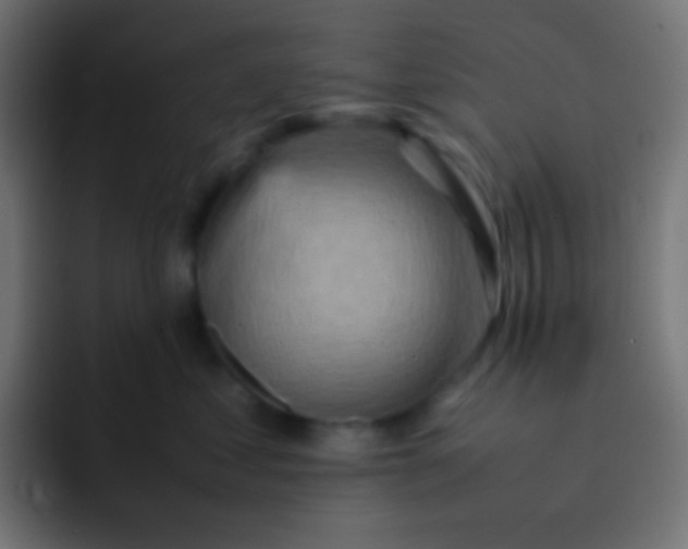 X0000092070621200710031119