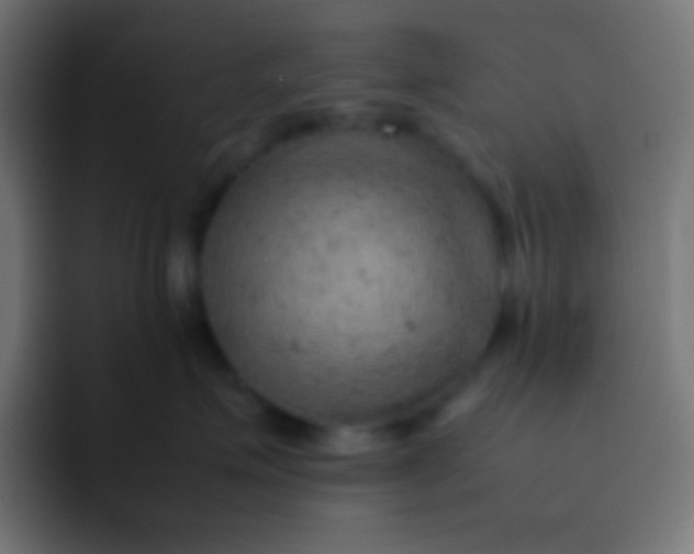 X0000092070623200710031119
