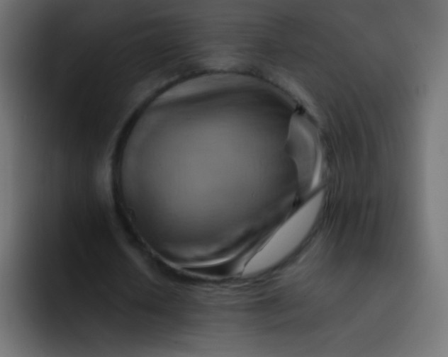 X0000092070626200710031119
